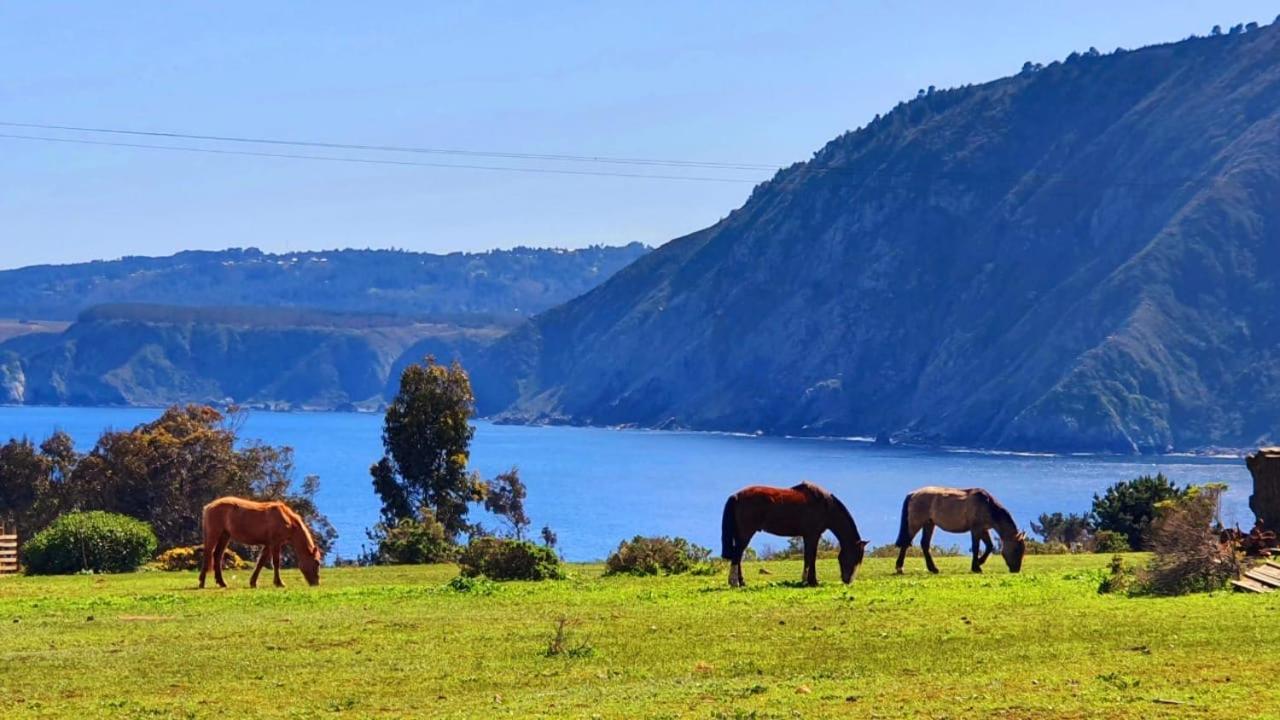 Cabana En Tunquen Con Parrilla, Fogon, Piscina Y Bosque 외부 사진