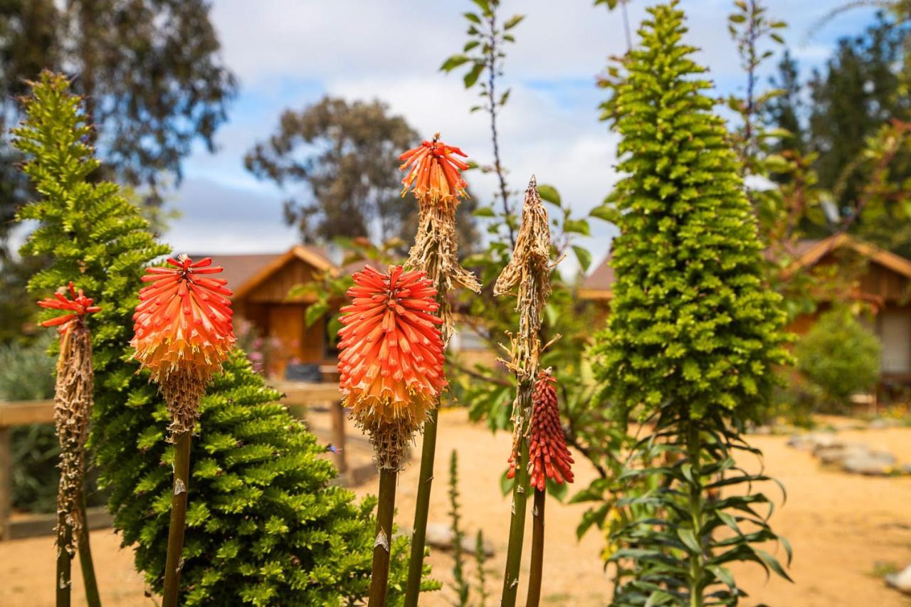 Cabana En Tunquen Con Parrilla, Fogon, Piscina Y Bosque 외부 사진