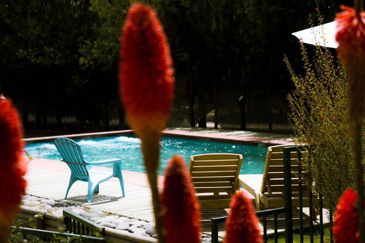 Cabana En Tunquen Con Parrilla, Fogon, Piscina Y Bosque 외부 사진