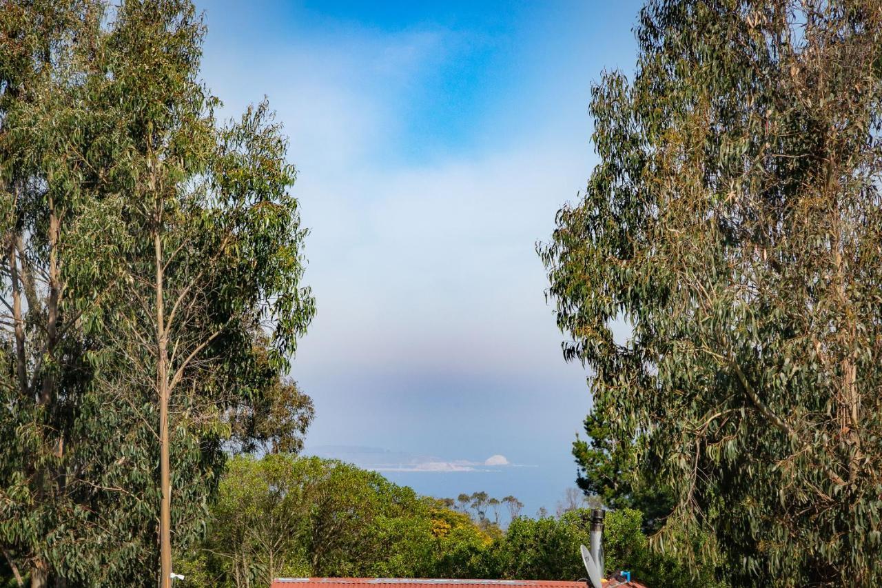 Cabana En Tunquen Con Parrilla, Fogon, Piscina Y Bosque 외부 사진